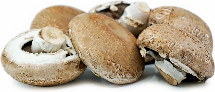1479492499-1.png Portobello Mushroom فطر بورتوبيللو (Kg) - Franje - Image 1