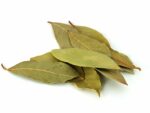 Bay Leaf (Laurus nobilis) (Bag) - Nature by Marc Beyrouthy - Image 2
