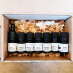 The Essential 7 (Box) - Nature by Marc Beyrouthy