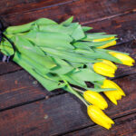 Tulips Yellow (Bouquet) - NatureBMB