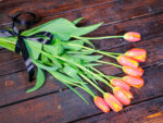 Tulips Orange (Bouquet) - Nature by Marc Beyrouthy