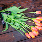 Tulips Orange (Bouquet) - Nature by Marc Beyrouthy