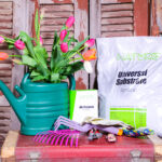 The Special Gardening Kit (Box) - Nature by Marc Beyrouthy