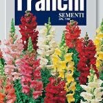 Antirrhinum (Bag) - Franchi Sementi