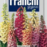 Digitalis (Bag) - Franchi Sementi