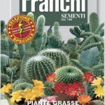 Succulents (Bag) - Franchi Sementi
