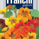 Tropaeolum (Bag) - Franchi Sementi