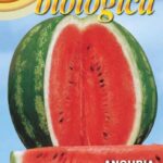 Watermelon Crimson Sweet (Citrullus lanatus Thunb.) (Bag) - Franchi Sementi