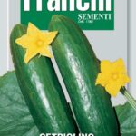 Cucumber Beth Alpha (Bag) - Franchi Sementi