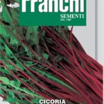 Chicory Red Stem (Bag) - Franchi Sementi