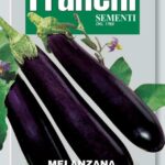 Eggplant Violetta Lunga (Bag) - Franchi Sementi