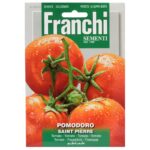 Tomato Saint Pierre (Solanum Lycopersicum L.) (Bag) - Franchi Sementi