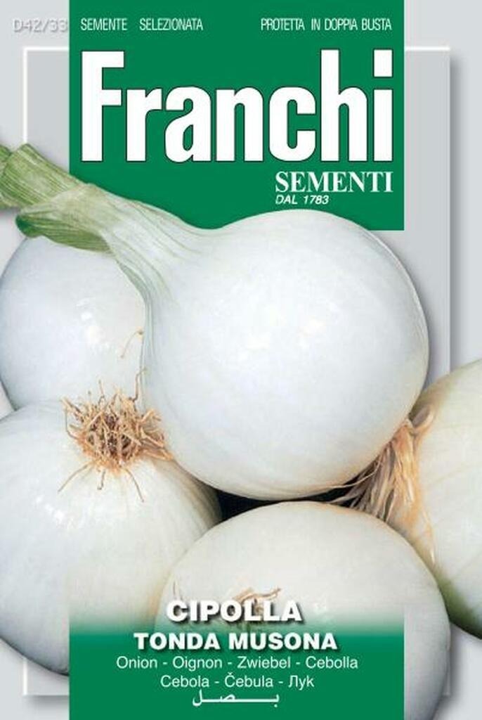 2152181815-1.jpg Onion White Tonda Musona (Allium cepa L.) (Bag) - Franchi Sementi - Image 1