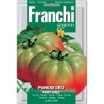 Tomato Rome Pantano (Solanum Lycopersicum L.) (Bag) - Franchi Sementi