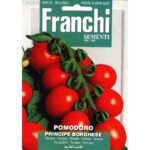Tomato Borghese or Eternal tomatoes (Solanum Lycopersicum L.) (Bag) - Franchi Sementi