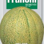 Melon Ananas (Cucumis melo L.) (Bag) - Franchi Sementi