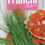 Chives (Allium Schoenoprasum) (Bag) - Franchi Sementi