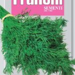 Dill (Bag) - Franchi Sementi