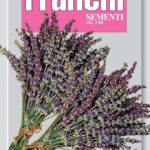 Lavender (Bag) - Franchi Sementi