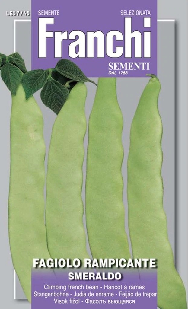 2153162175-1.jpg Bean Climbing French Smeraldo (Phaseolus vulgaris L.) (Bag) - Franchi Sementi - Image 1