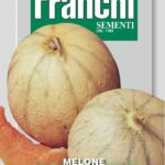 Melon Cantaloupe (Cucumis melo L.) (Bag) - Franchi Sementi