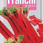 Rhubarb (Rheum undulatum) (Bag) - Franchi Sementi
