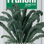 Kale Cavolo Nero Of Tuscany (Bag) - Franchi Sementi