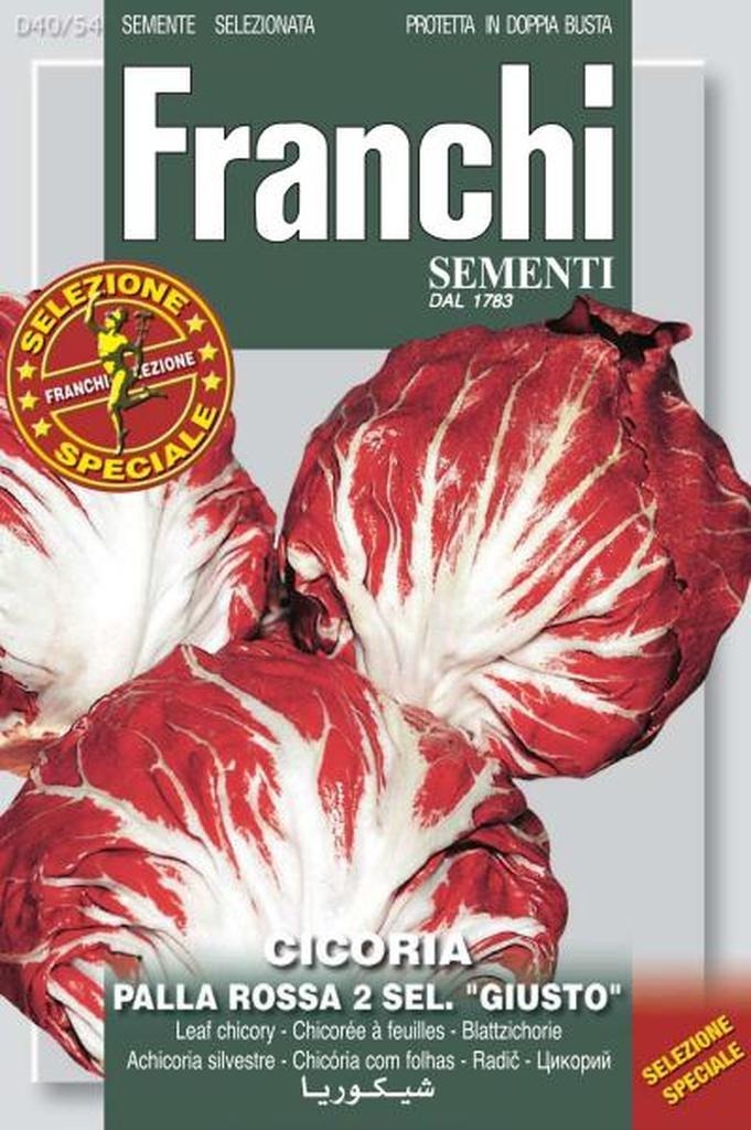 2154597614-1.jpg Chicory Leaf Palla Rossa Precoce (Bag) - Franchi Sementi - Image 1