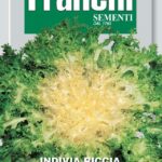 Endive Cuor d'Oro (Bag) - Franchi Sementi
