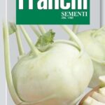 Kohlrabi Of Vienna White (Bag) - Franchi Sementi