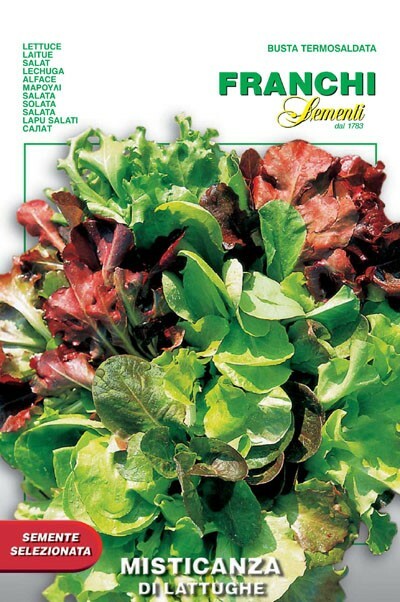 2154627379-1.jpg Lettuce Four Seasons Mesclun (Bag) - Franchi Sementi - Image 1