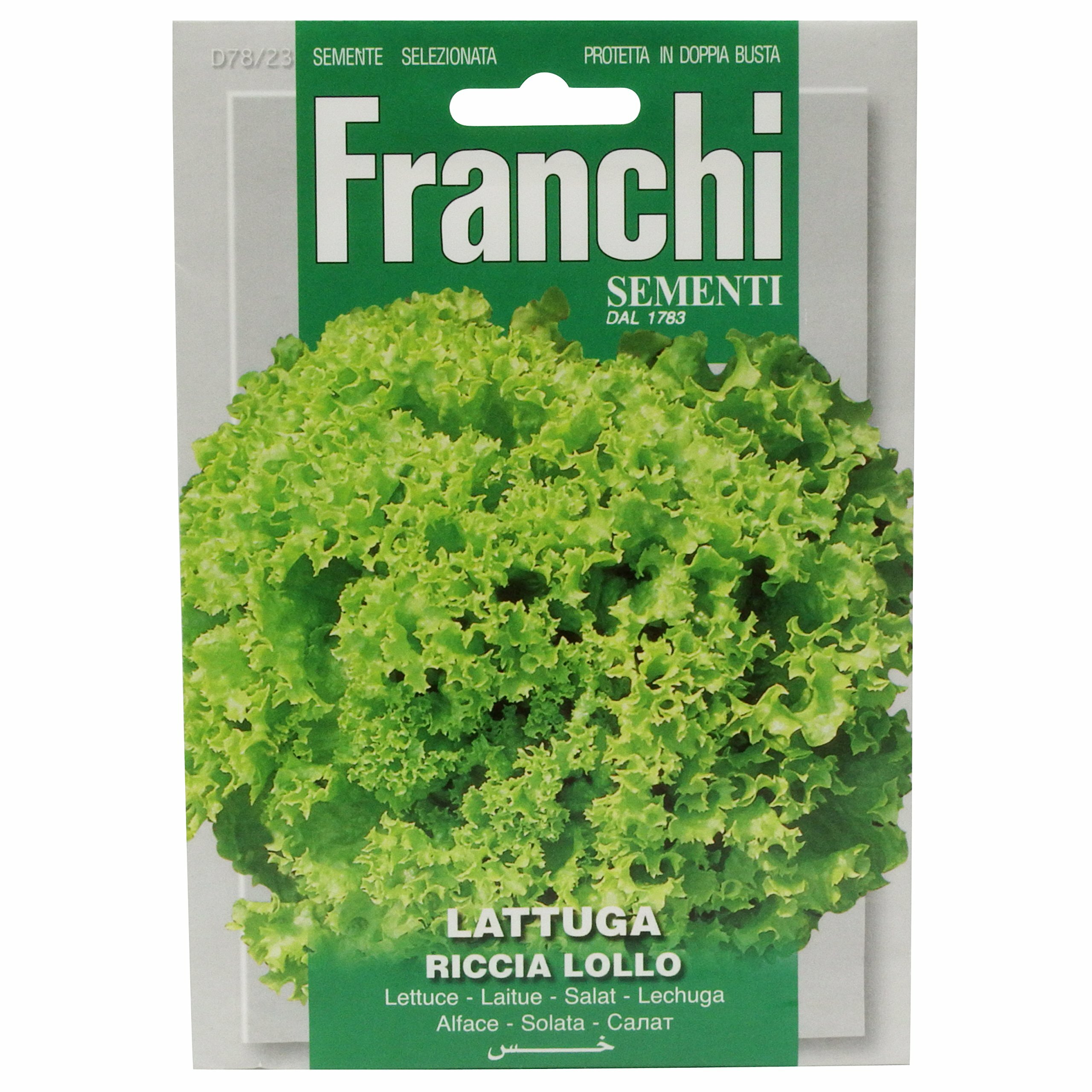 2154629891-1.jpg Lettuce Lollo Bionda (Lactuca sativa L.) (Bag) - Franchi Sementi - Image 1