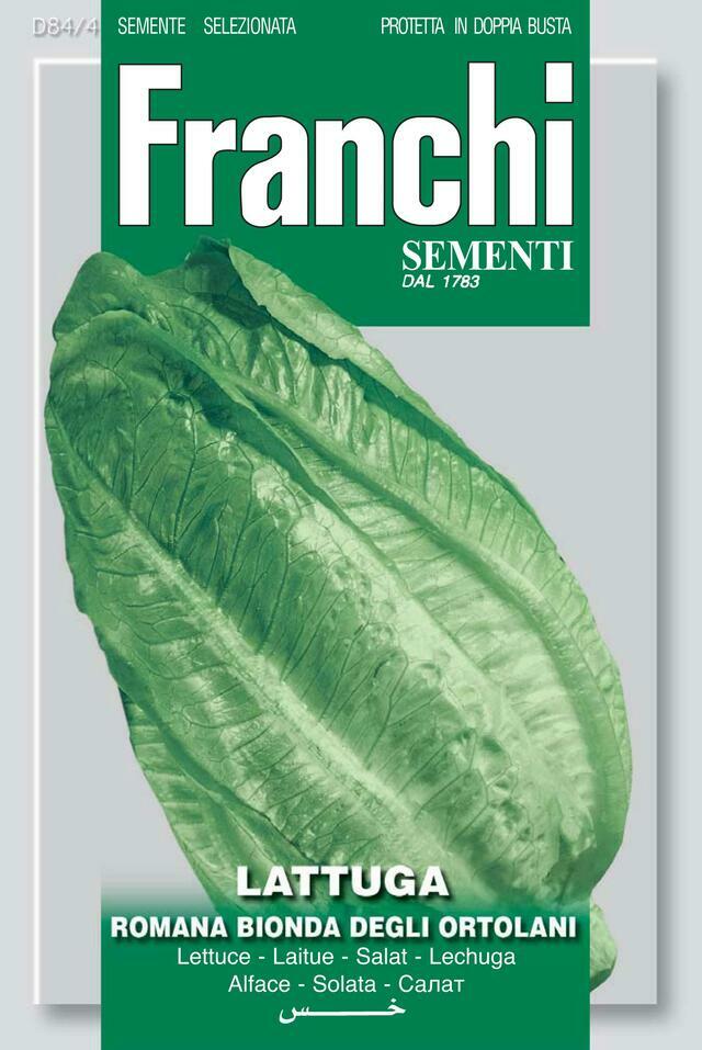 2154651400-1.jpg Lettuce Romaine (Lactuca sativa L.) (Bag) - Franchi Sementi - Image 1