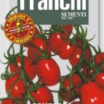 Tomato Baby Plum (Solanum Lycopersicum L.) (Bag) - Franchi Sementi