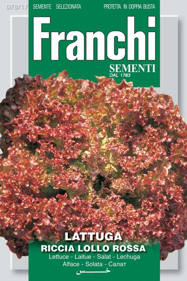 2154652497-1.jpg Lettuce Lollo Rossa (Lactuca sativa L.) (Bag) - Franchi Sementi - Image 1
