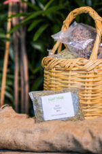 Basil (Ocimum basilicum) (Bag) - NatureBMB