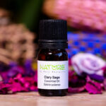 Essential Oil Clary Sage (Bottle) - NatureBMB