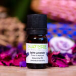 Essential Oil Spike Lavender (Bottle) - Nature by Marc Beyrouthy