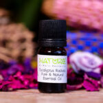 Essential Oil Eucalyptus radiata (Bottle) - NatureBMB
