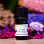 Essential Oil Lavender (Bottle) - Nature by Marc Beyrouthy