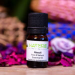 Essential Oil Niaouli (Bottle) - Nature by Marc Beyrouthy