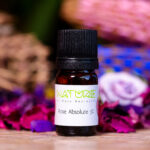 Essential Oil Rose 3% (Bottle) - NatureBMB