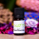 Essential Oil Frankincense (Bottle) - Nature by Marc Beyrouthy