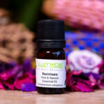Essential Oil Ravintsara (Bottle) - Nature by Marc Beyrouthy