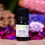 Essential Oil Sweet Basil (Bottle) - Nature by Marc Beyrouthy
