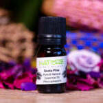Essential Oil Scots Pine (Bottle) - Nature by Marc Beyrouthy