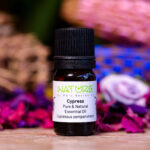 Essential Oil Cypress (Bottle) - Nature by Marc Beyrouthy