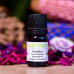 Essential Oil Clove Bud (Bottle) - Nature by Marc Beyrouthy
