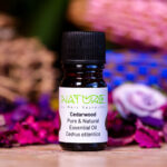Essential Oil Cedarwood (Bottle) - Nature by Marc Beyrouthy