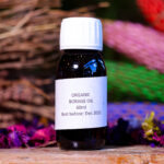 Vegetable Oil Borage (Bottle) - Nature by Marc Beyrouthy
